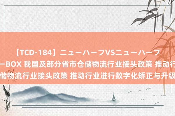 【TCD-184】ニューハーフVSニューハーフ 不純同性肛遊ベストセラーBOX 我国及部分省市仓储物流行业接头政策 推动行业进行数字化矫正与升级