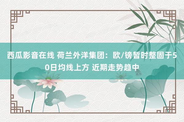 西瓜影音在线 荷兰外洋集团：欧/镑暂时整固于50日均线上方 近期走势趋中