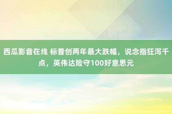 西瓜影音在线 标普创两年最大跌幅，说念指狂泻千点，英伟达险守100好意思元