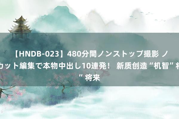 【HNDB-023】480分間ノンストップ撮影 ノーカット編集で本物中出し10連発！ 新质创造“机智”将来