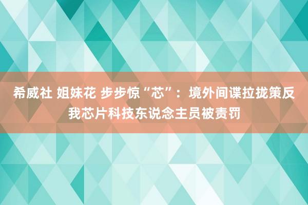 希威社 姐妹花 步步惊“芯”：境外间谍拉拢策反我芯片科技东说念主员被责罚