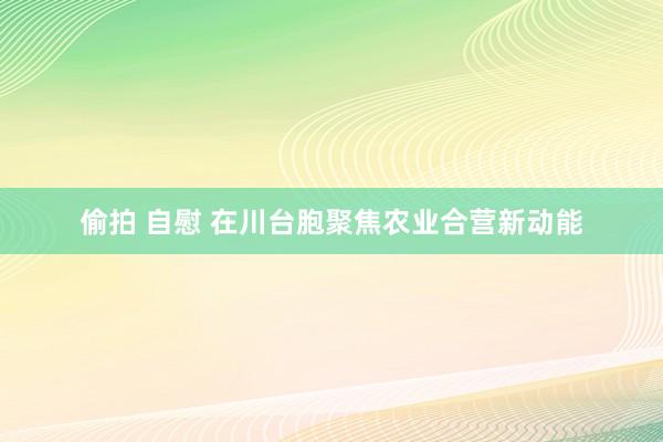 偷拍 自慰 在川台胞聚焦农业合营新动能