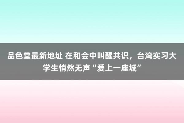 品色堂最新地址 在和会中叫醒共识，台湾实习大学生悄然无声“爱上一座城”