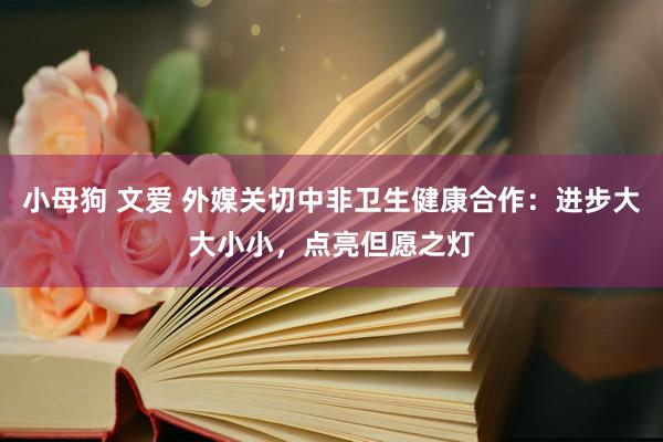 小母狗 文爱 外媒关切中非卫生健康合作：进步大大小小，点亮但愿之灯