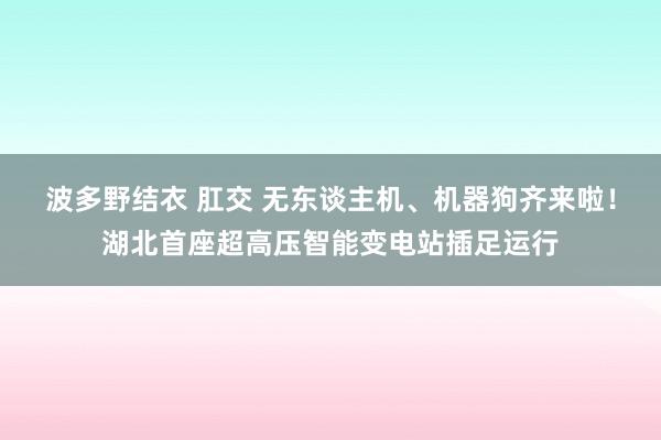 波多野结衣 肛交 无东谈主机、机器狗齐来啦！湖北首座超高压智能变电站插足运行