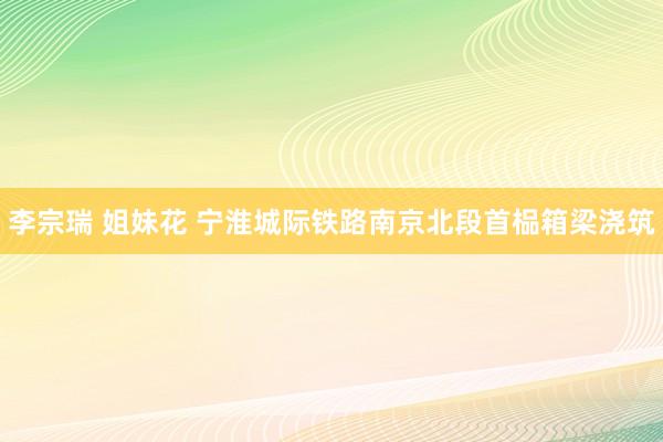 李宗瑞 姐妹花 宁淮城际铁路南京北段首榀箱梁浇筑