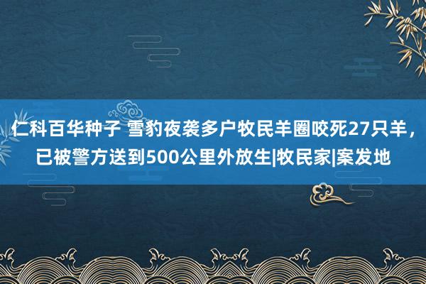 仁科百华种子 雪豹夜袭多户牧民羊圈咬死27只羊，已被警方送到500公里外放生|牧民家|案发地