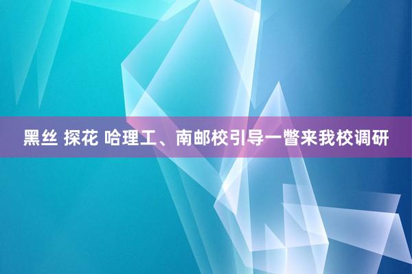 黑丝 探花 哈理工、南邮校引导一瞥来我校调研